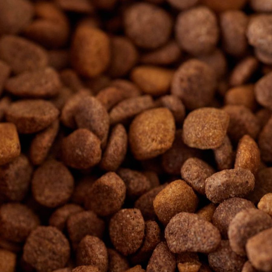 Pet Food at Wootton Neighbourhood Store
